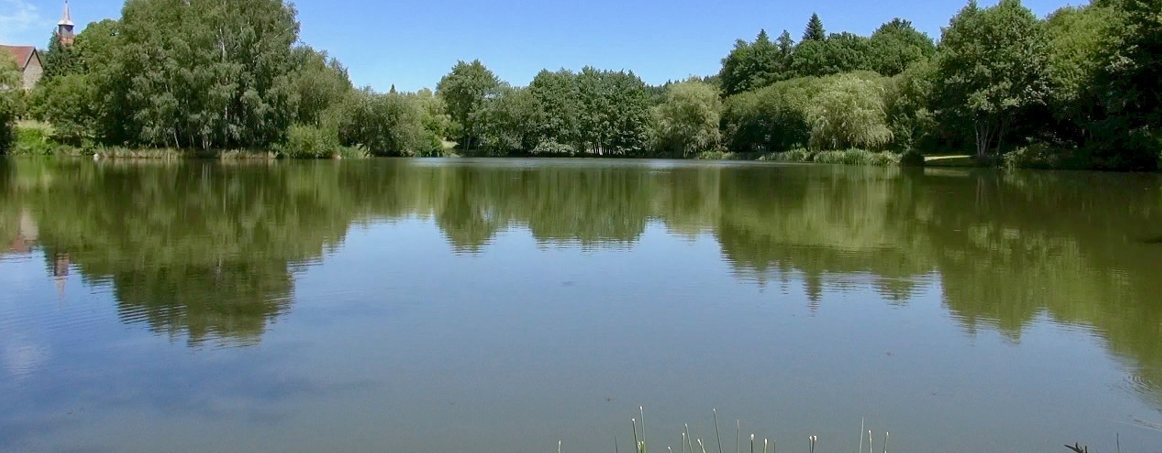 Tranquil and private fishing lake in France Etang de Azat-Chatenet