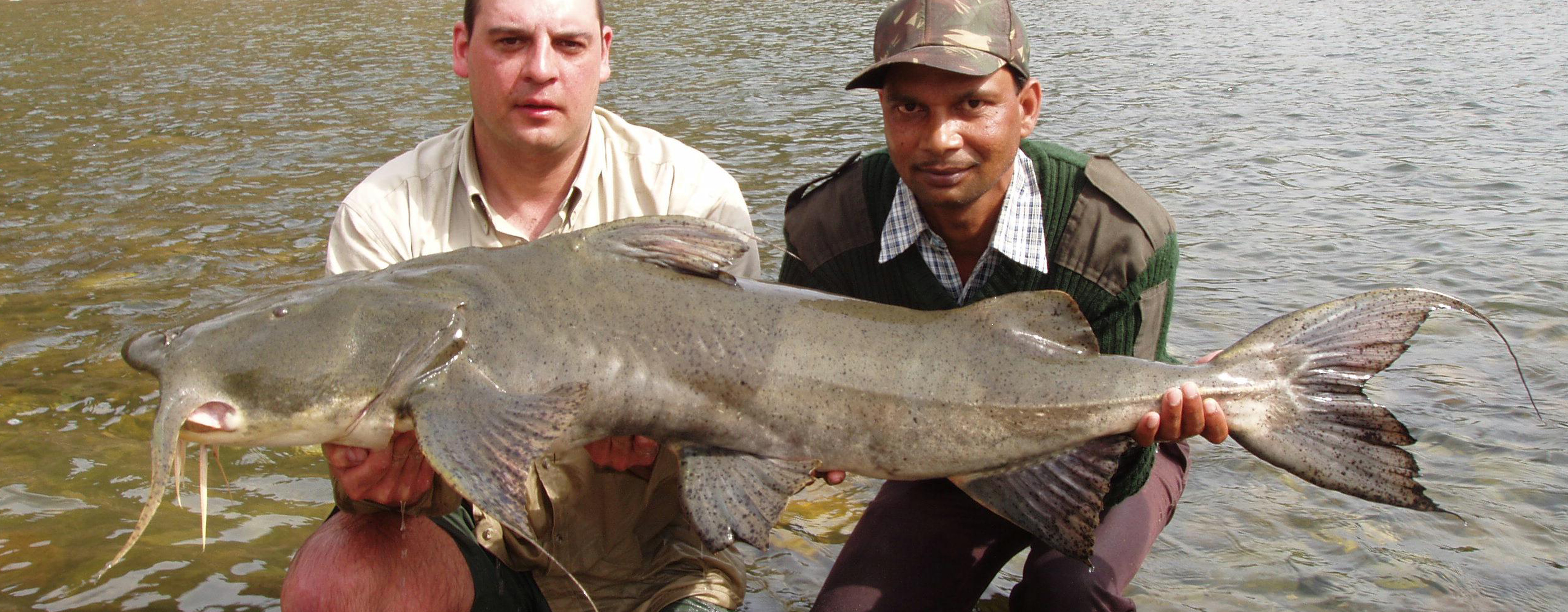 Fishery owner James Peacock holding a Goonch Catfish caught from the Ramganga River within the Corbett National Park in India