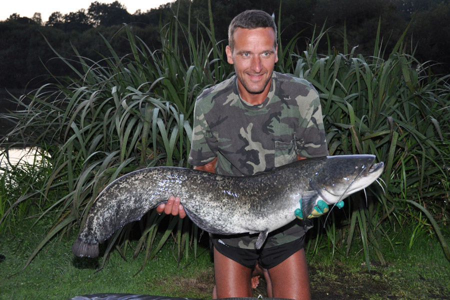 Catfish caught at Etang de Azat-Chatenet fishing lake in France