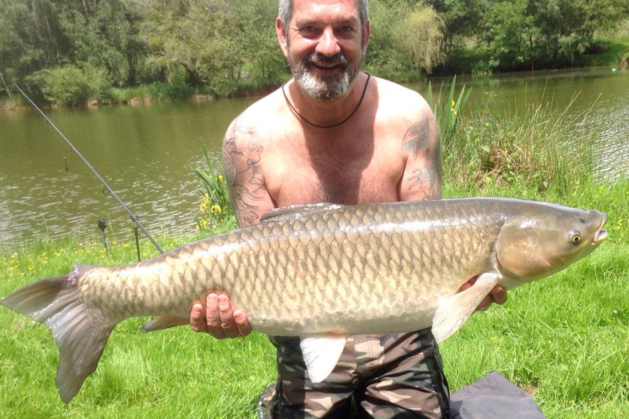 Grass carp caught at Etang de Azat-Chatenet fishing lake in France