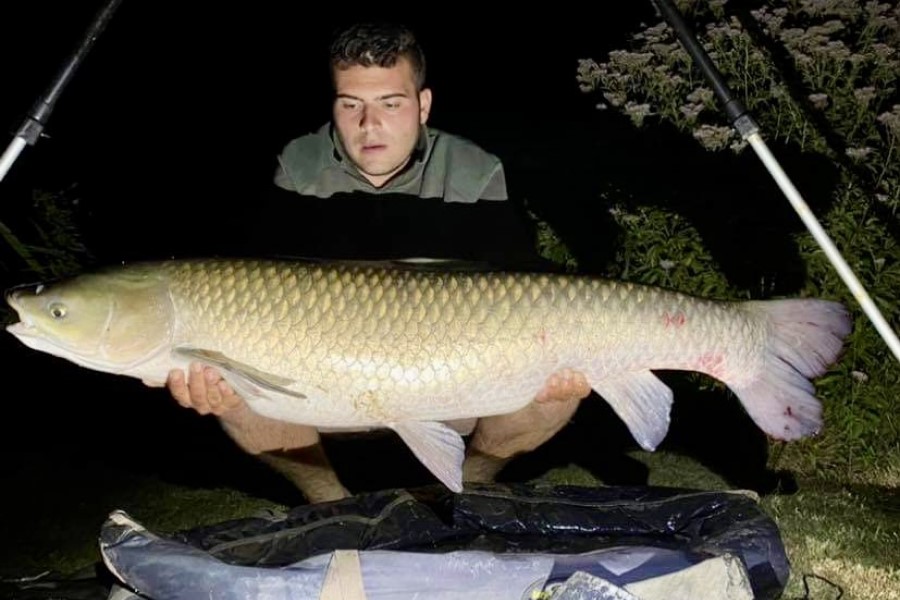 Grass carp caught at Etang de Azat-Chatenet fishing lake in France