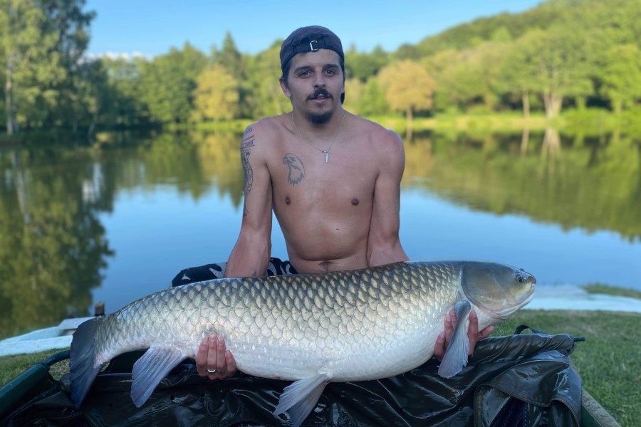 Grass carp caught at Etang de Azat-Chatenet fishing lake in France