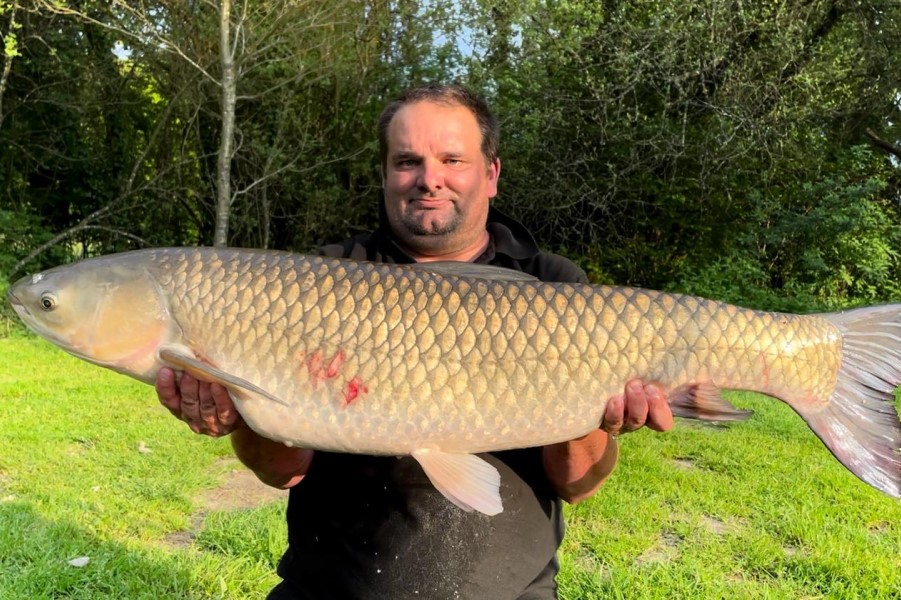 Grass carp caught at Etang de Azat-Chatenet fishing lake in France