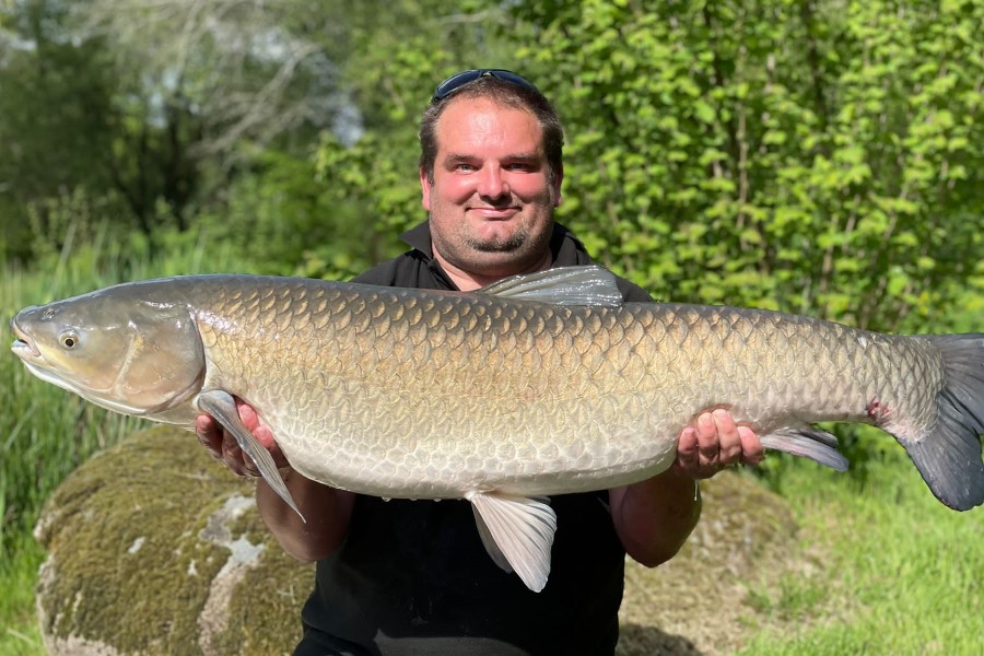 Grass carp caught at Etang de Azat-Chatenet fishing lake in France