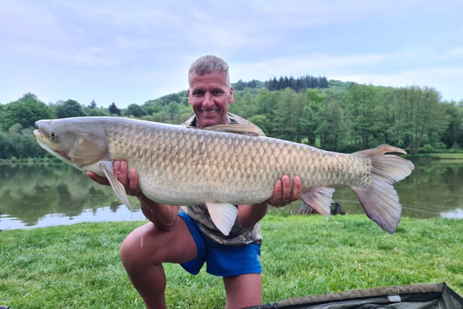 Grass carp caught at Etang de Azat-Chatenet fishing lake in France