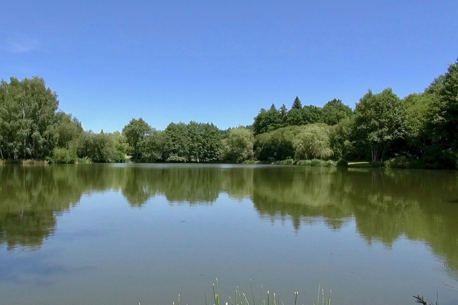 Tranquil and private fishing lake in France Etang de Azat-Chatenet