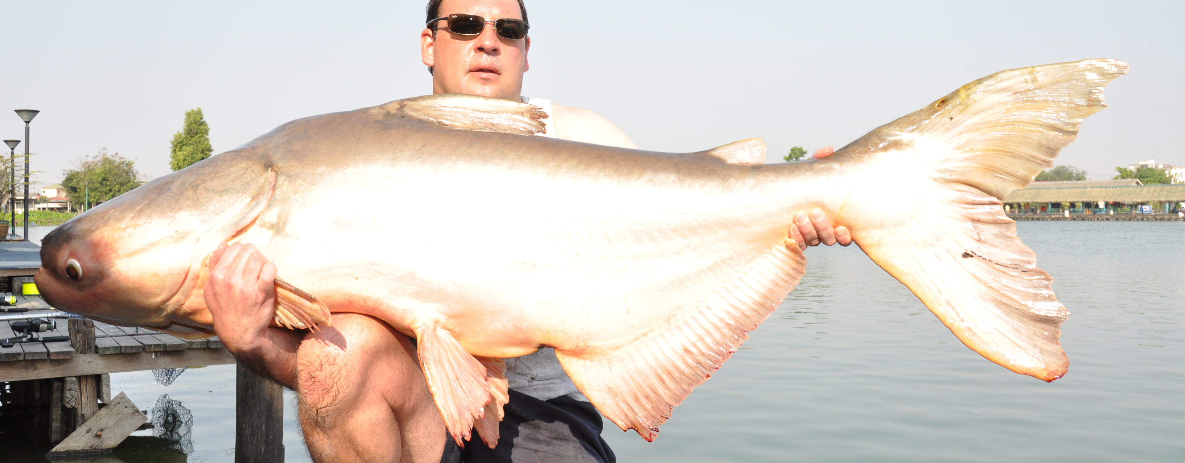 Fishery owner James Peacock holding a 103lb Giant Mekong Catfish caught on a fishing expedition in Thailand