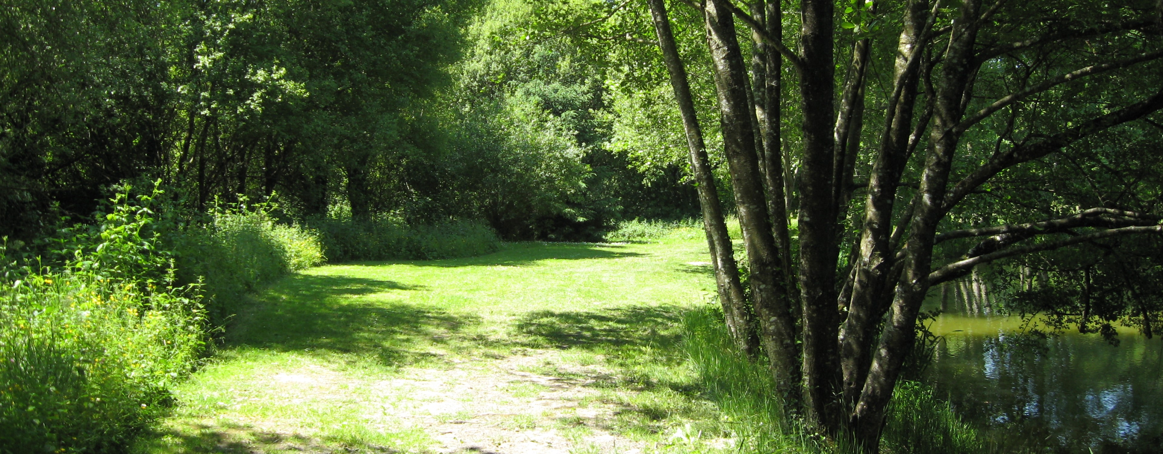 Lakeside path at Etang de Azat-Chatenet fishing lake in France
