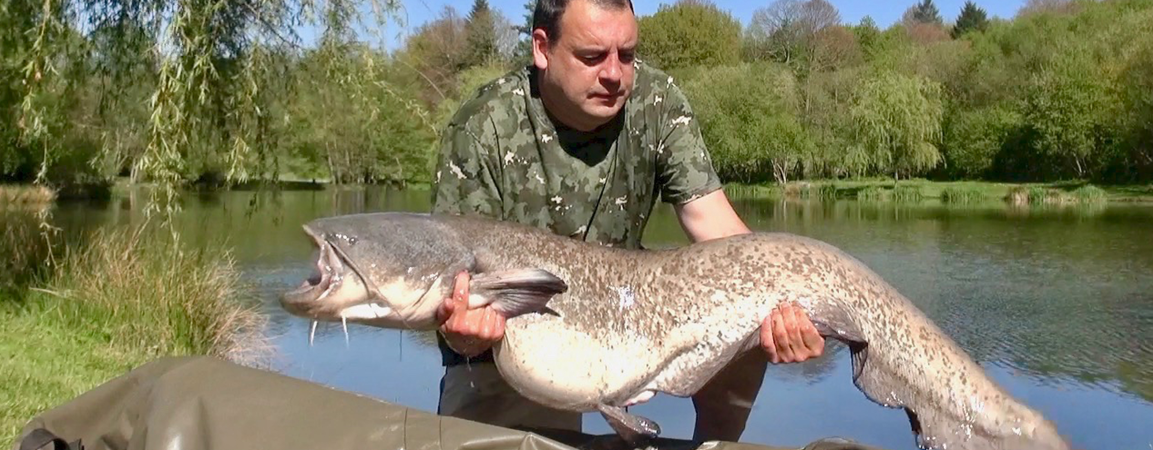 Fishery owner James Peacock holding catfish caught at Etang de Azat-Chatenet fishing lake in France