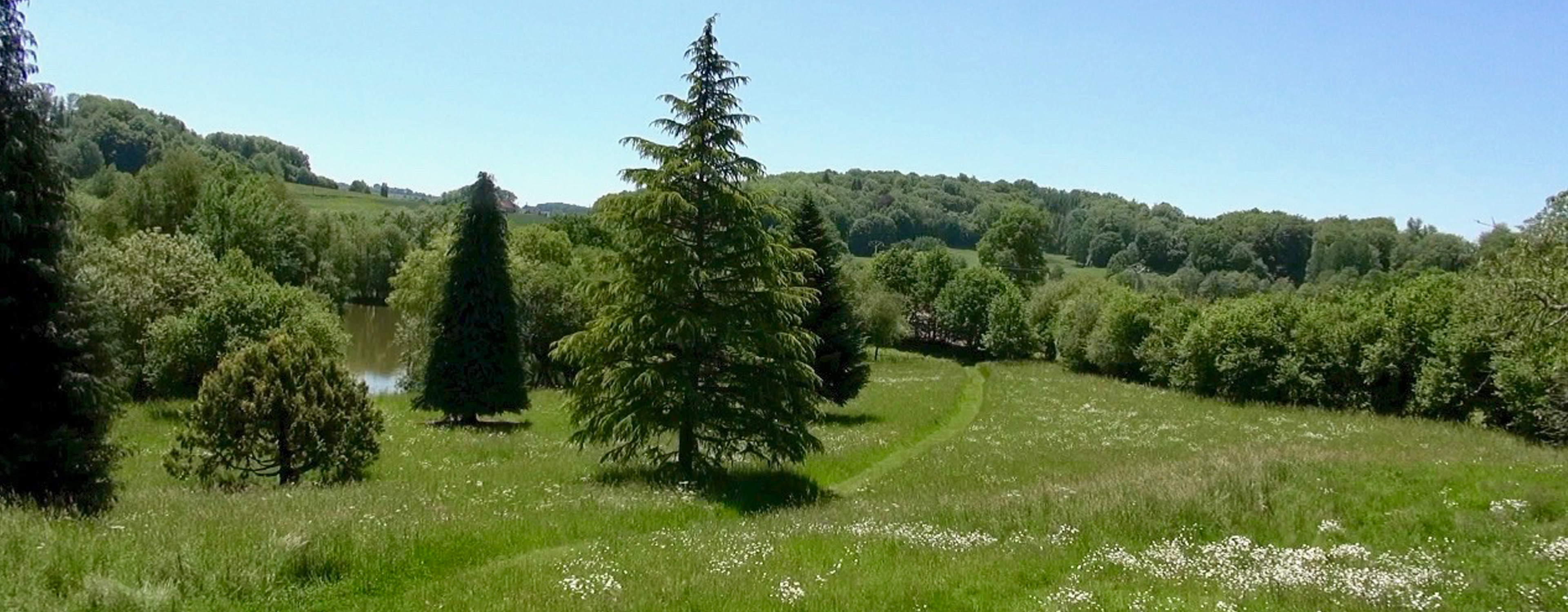 View of cut grass path through wild flower meadow and trees leading to carp fishing lake at Etang de Azat-Chatenet in France