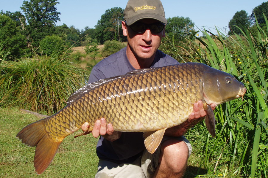 Common carp caught at Etang de Azat-Chatenet fishing lake in France