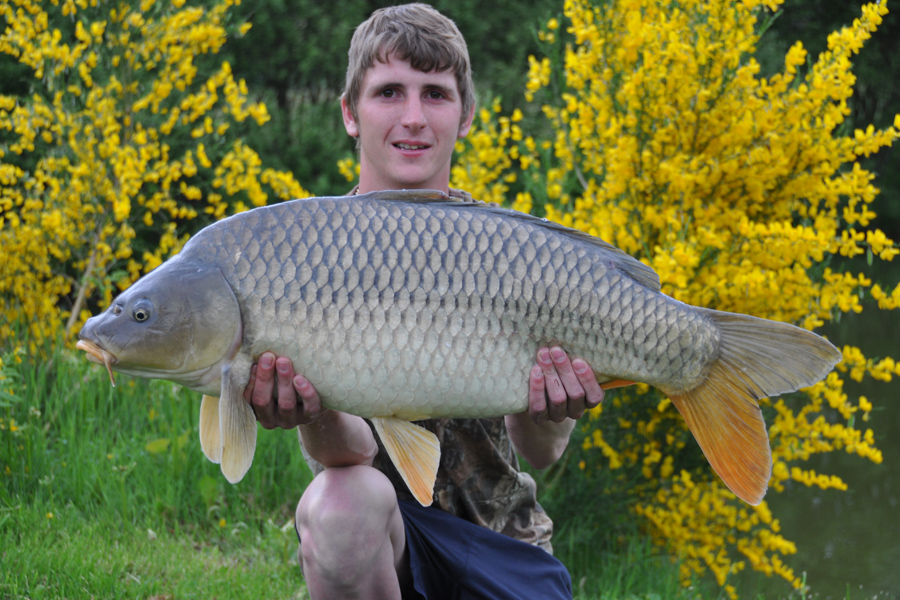 Common carp caught at Etang de Azat-Chatenet fishing lake in France