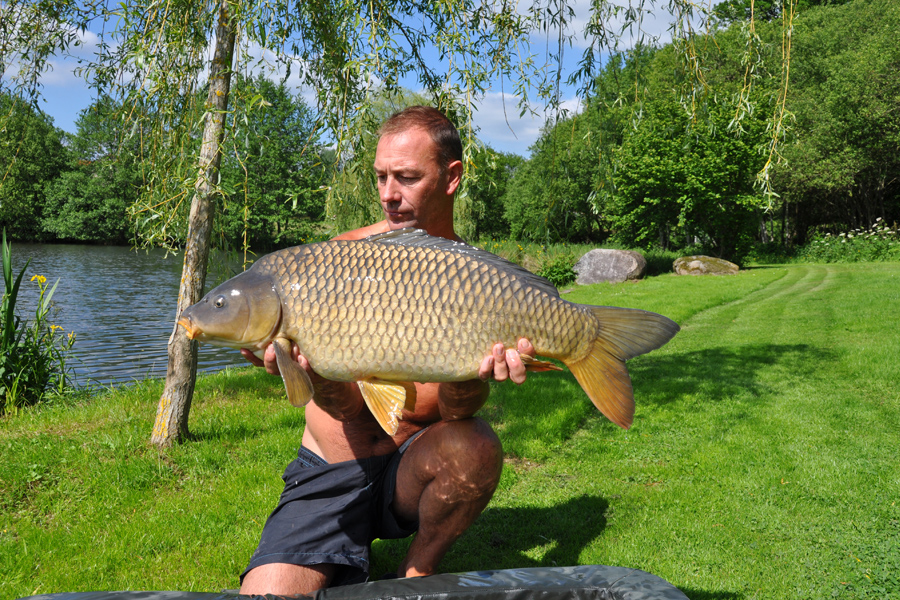 Common carp caught at Etang de Azat-Chatenet fishing lake in France