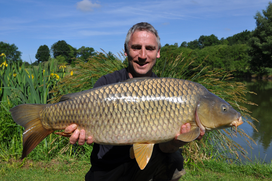 Common carp caught at Etang de Azat-Chatenet fishing lake in France