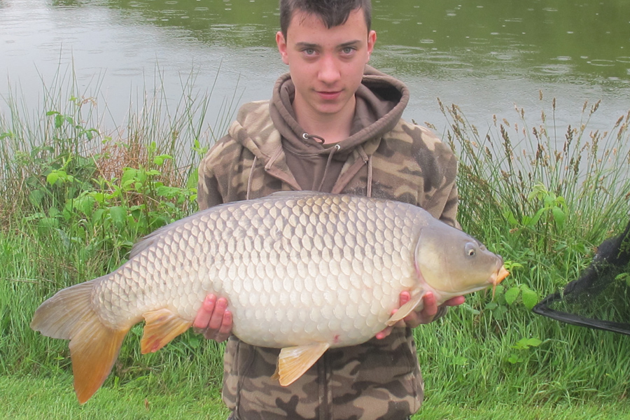 Common carp caught at Etang de Azat-Chatenet fishing lake in France