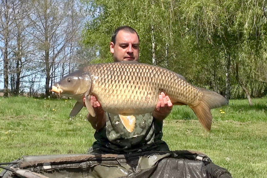 Common carp caught at Etang de Azat-Chatenet fishing lake in France