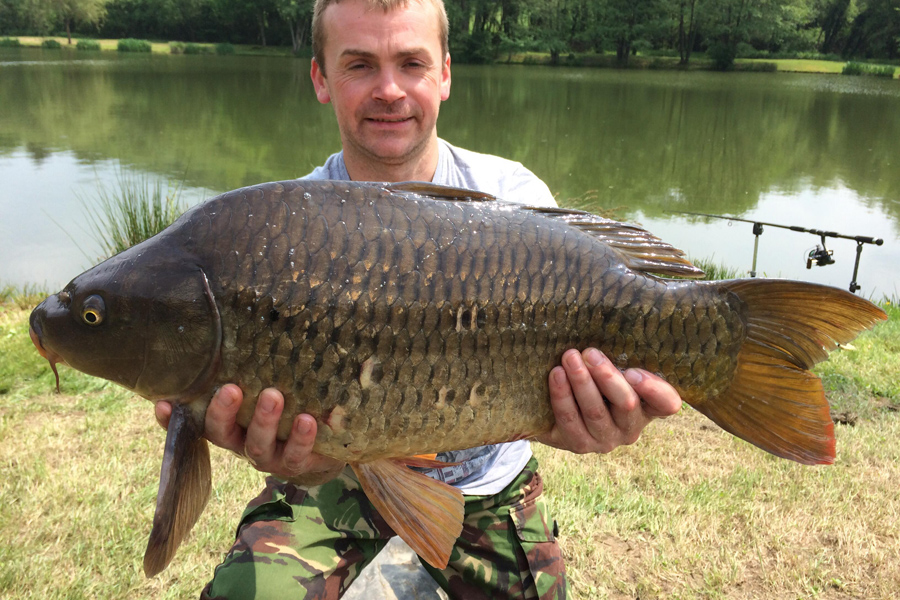 Common carp caught at Etang de Azat-Chatenet fishing lake in France