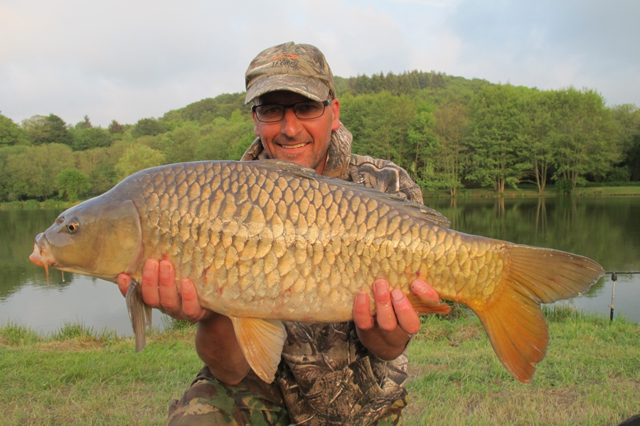 Common carp caught at Etang de Azat-Chatenet fishing lake in France