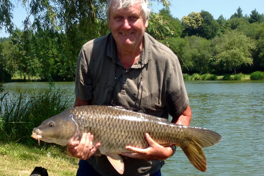 Common carp caught at Etang de Azat-Chatenet fishing lake in France