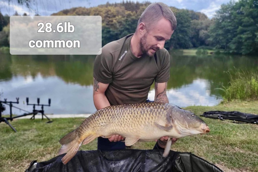Common carp caught at Etang de Azat-Chatenet fishing lake in France