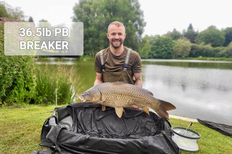 Common carp caught at Etang de Azat-Chatenet fishing lake in France