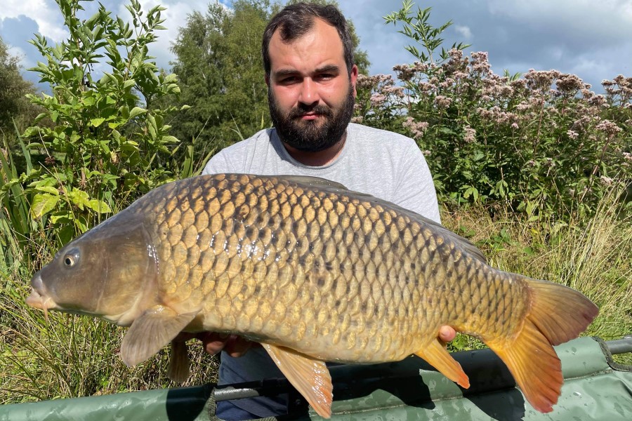 Common carp caught at Etang de Azat-Chatenet fishing lake in France