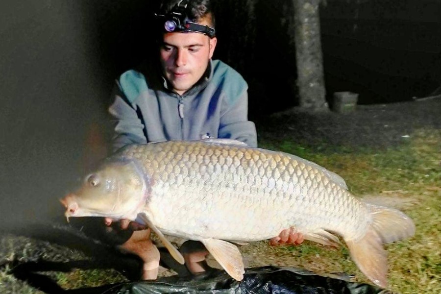 Common carp caught at Etang de Azat-Chatenet fishing lake in France