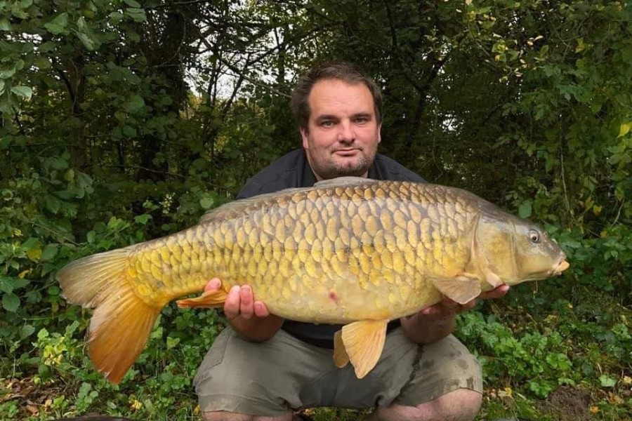 Common carp caught at Etang de Azat-Chatenet fishing lake in France