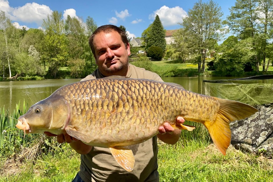Common carp caught at Etang de Azat-Chatenet fishing lake in France