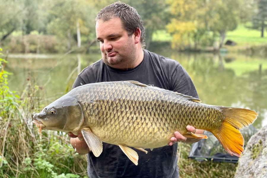 Common carp caught at Etang de Azat-Chatenet fishing lake in France