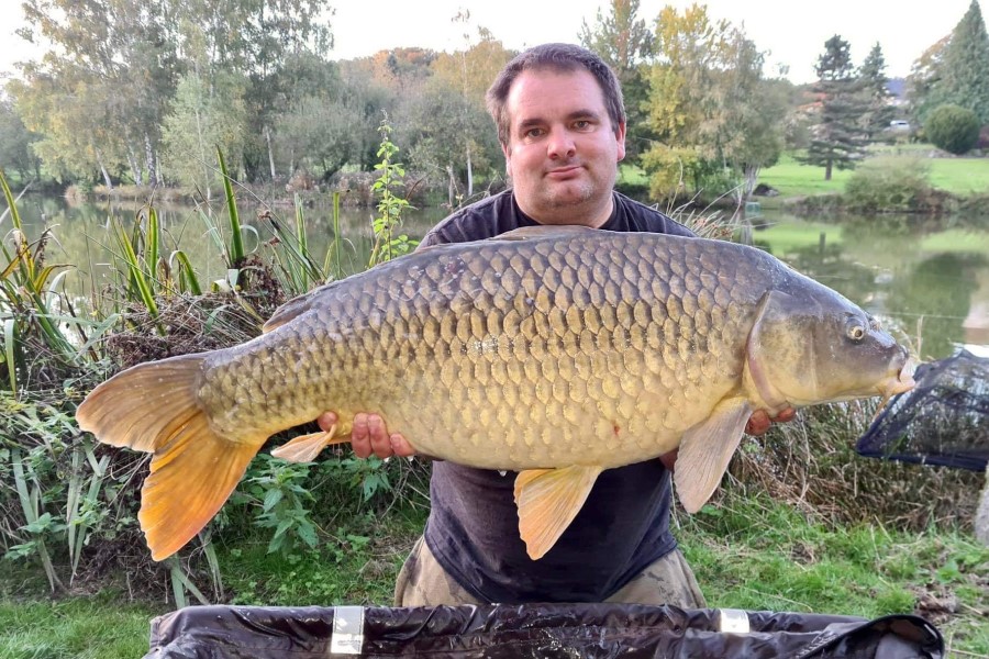 Common carp caught at Etang de Azat-Chatenet fishing lake in France