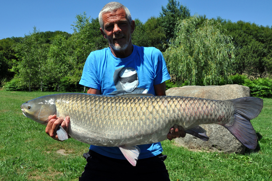Grass carp caught at Etang de Azat-Chatenet fishing lake in France