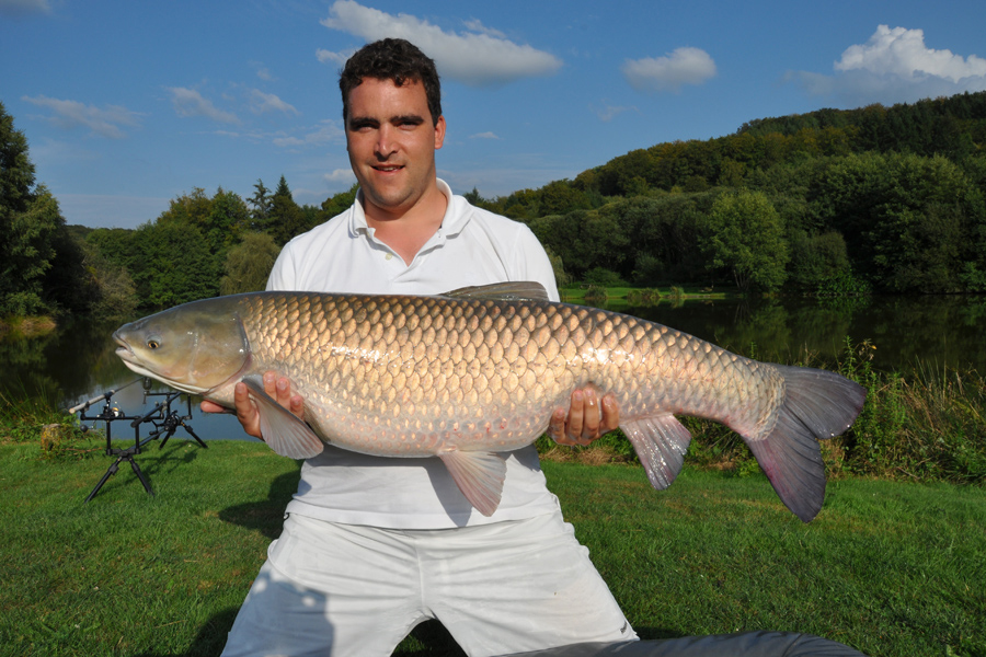 Grass carp caught at Etang de Azat-Chatenet fishing lake in France