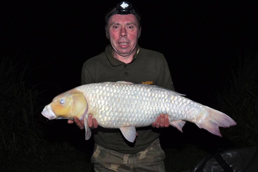 Koi carp caught at Etang de Azat-Chatenet fishing lake in France