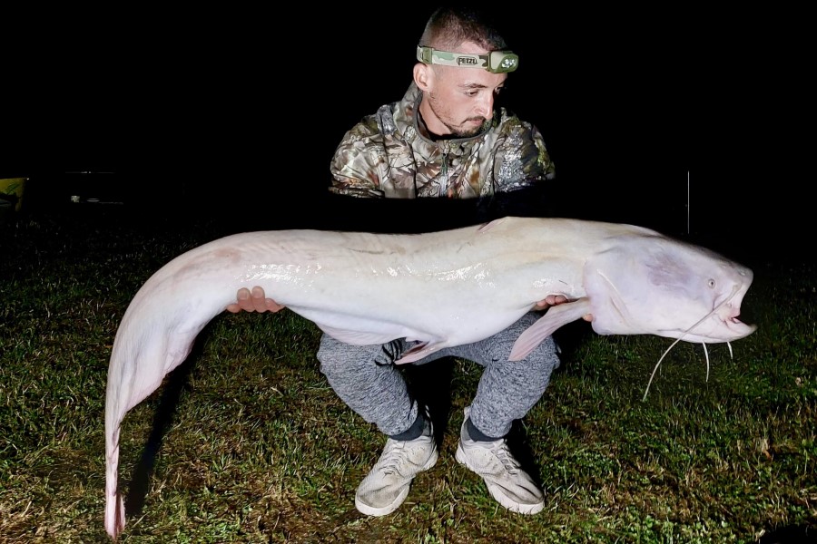 Lake record holder for 55lb mandarin catfish caught at Etang de Azat-Chatenet fishing lake in France