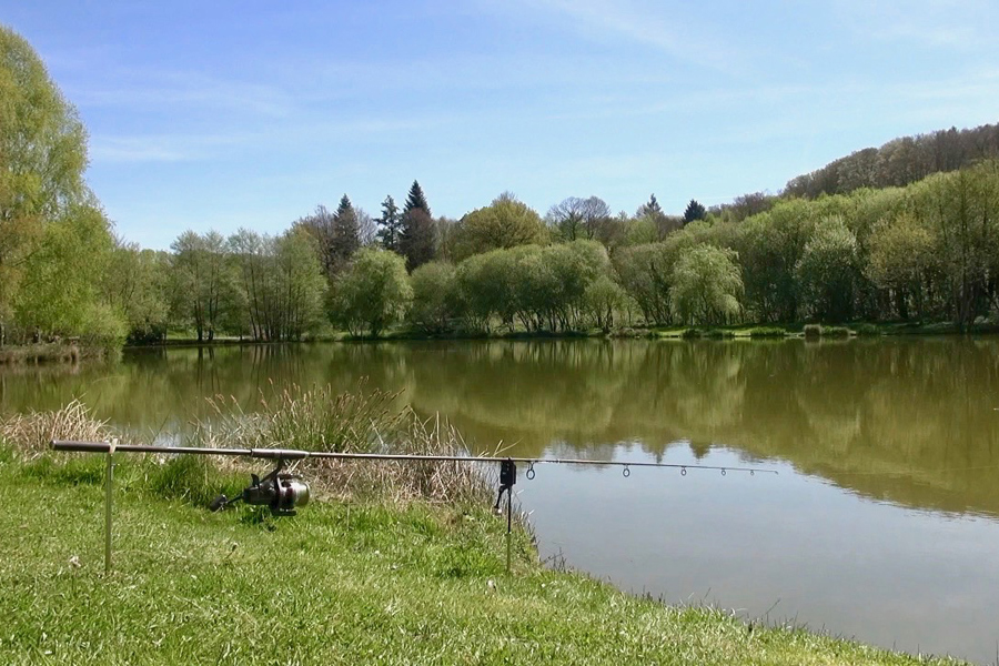 Fishing rod at swim 7 Etang de Azat-Chatenet lake in France