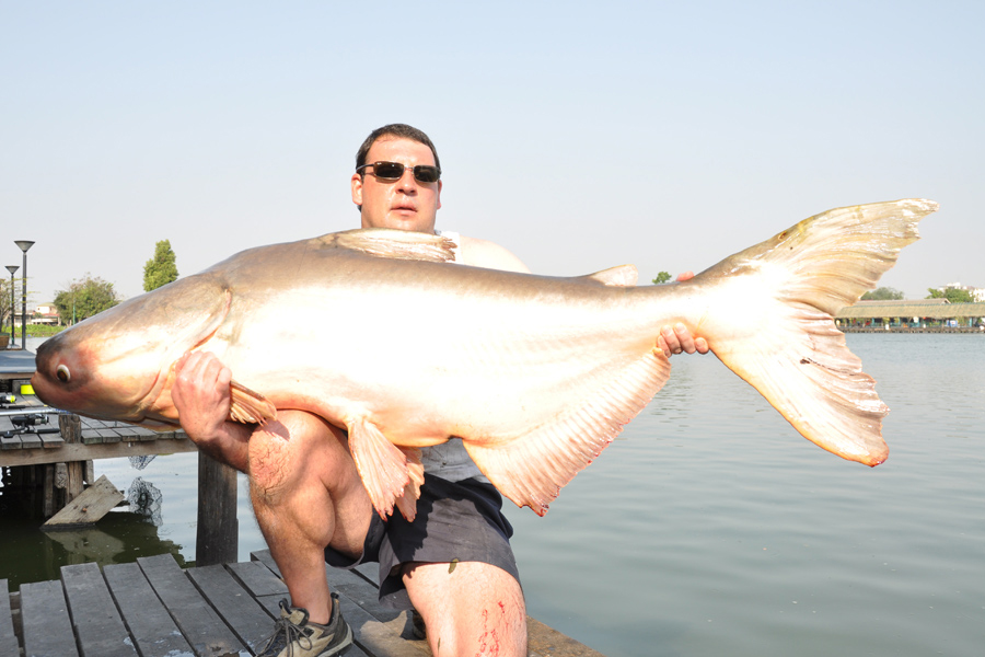 Owner James Peacock holding a 103lb Giant Mekong Catfish caught on a fishing expedition in Thailand