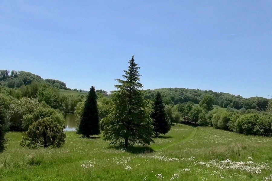 Stunning views of grounds at French carp fishing lake Etang de Azat-Chatenet