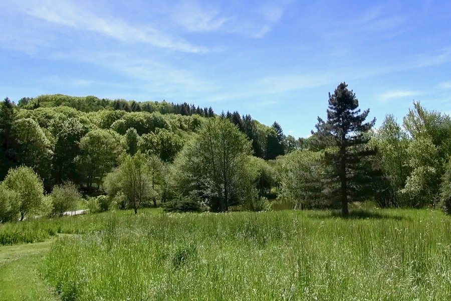 Surrounding grounds at Etang de Azat-Chatenet fishing lake in France