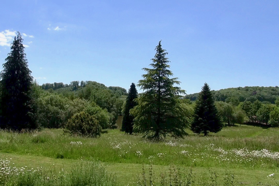 Lake and grounds at Etang de Azat-Chatenet fishing lake in France