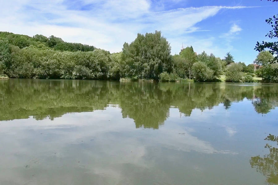 View towards island at Etang de Azat-Chatenet carp fishing lake in France