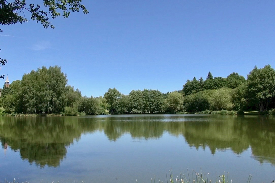 Beautiful carp fishing lake in France Etang de Azat-Chatenet