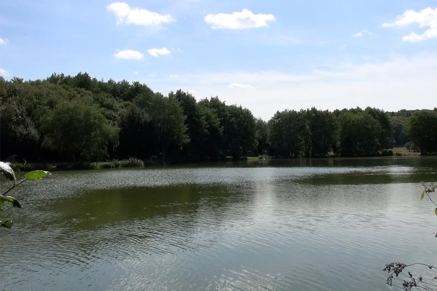 View towards outlet overflow and dam wall at Etang de Azat-Chatenet carp fishing lake in France