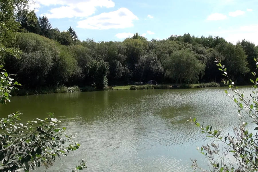 View towards swims 1 and 2 at Etang de Azat-Chatenet carp fishing lake in France