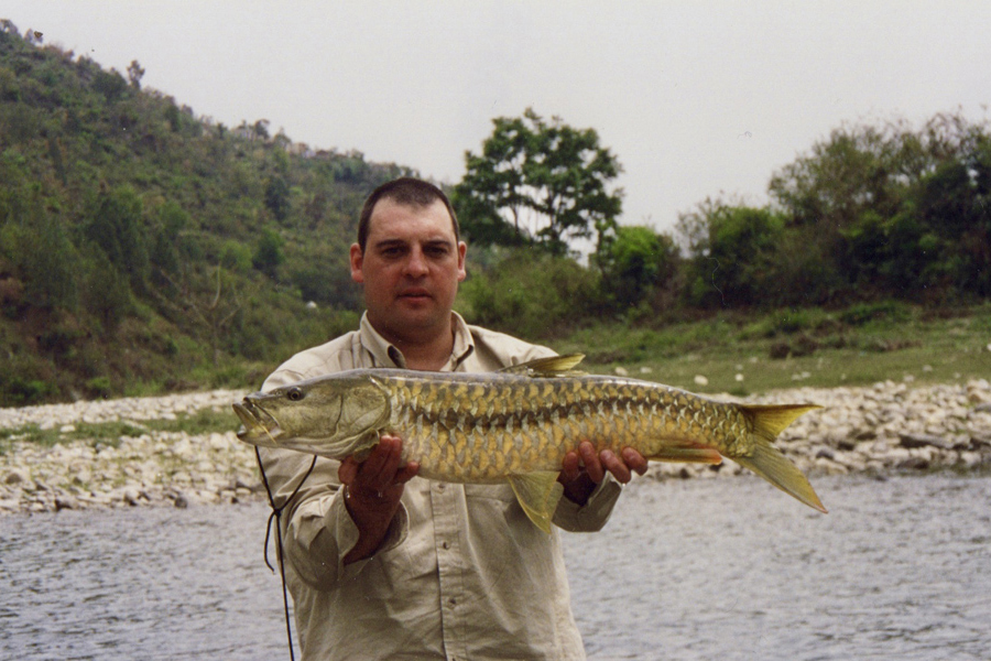 Golden Mahseer caught from the Ramganga River within the Corbett National Park in India