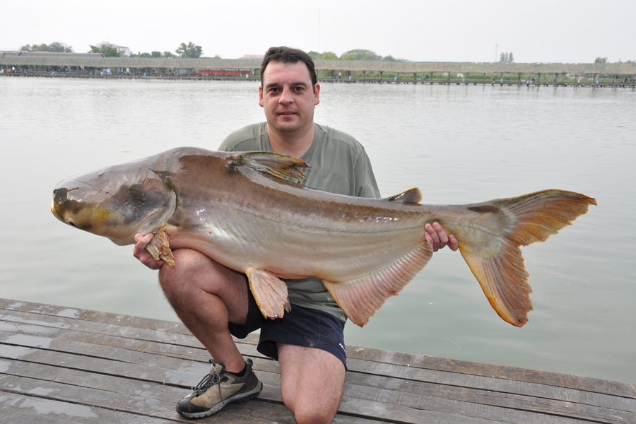 103lb Mekong Catfish caught while catfishing in Asia
