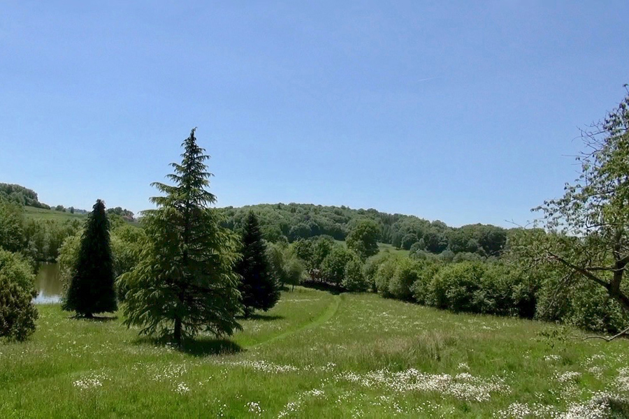 Wild meadow and grounds at Etang de Azat-Chatenet fishing lake in France