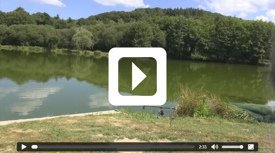 Video thumbnail of 36lb catfish - fishing video filmed at Etang de Azat-Chatenet carp lake in France
