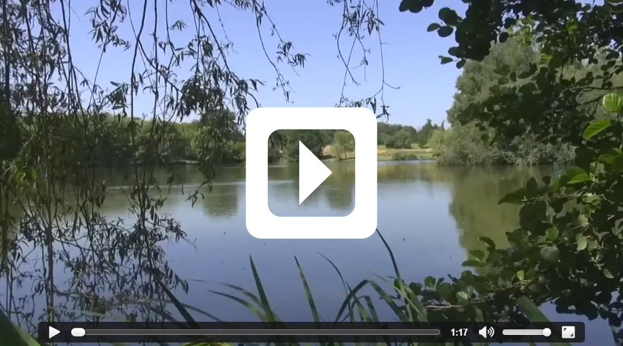 Video thumbnail of fish-azat-chatenet - fishing video filmed at Etang de Azat-Chatenet carp lake in France
