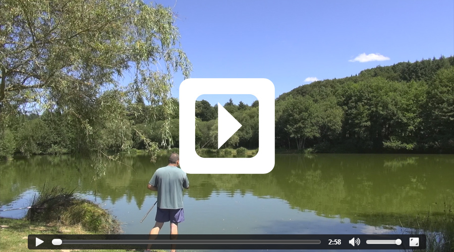 Video thumbnail of 39lb grass carp - fishing video filmed at Etang de Azat-Chatenet carp lake in France
